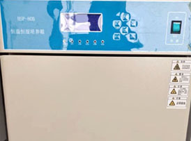 恒温恒湿培养箱